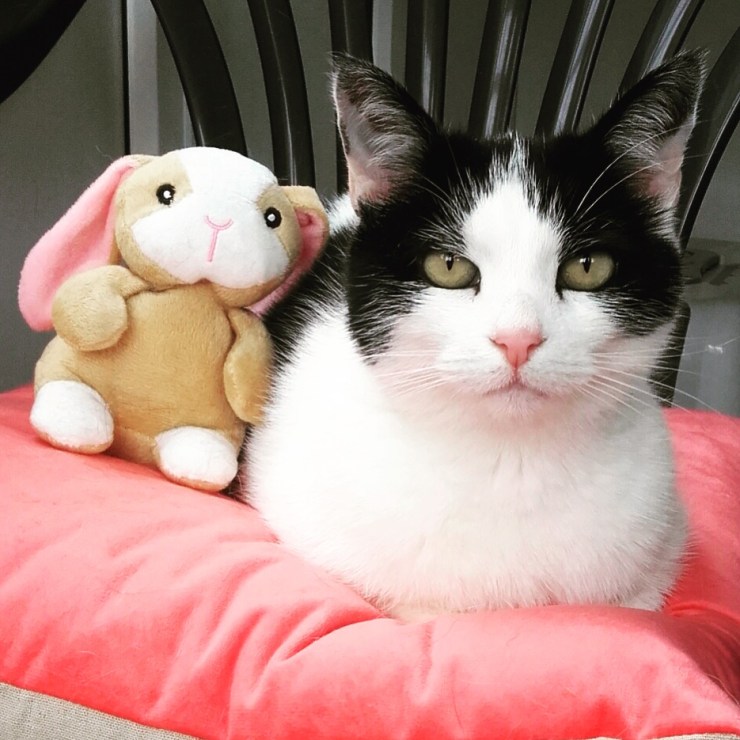 3C666AE3-BC85-48E1-B258-53E98328EF07