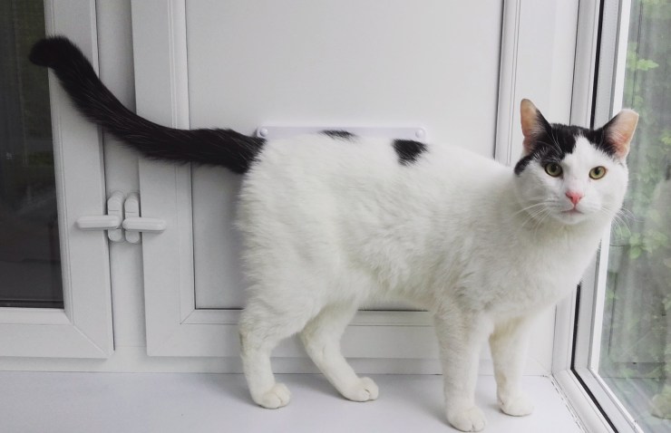 496075AF-CA8D-4907-98BE-C5416DBD1777